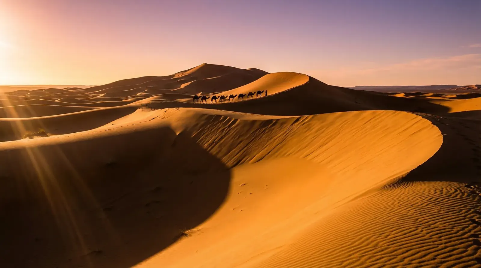 Sahara Gateway — Zagora Desert 3 Days